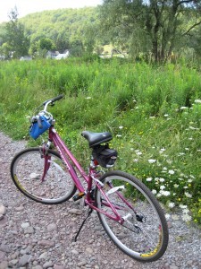 summer bike