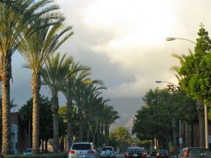 The SFV